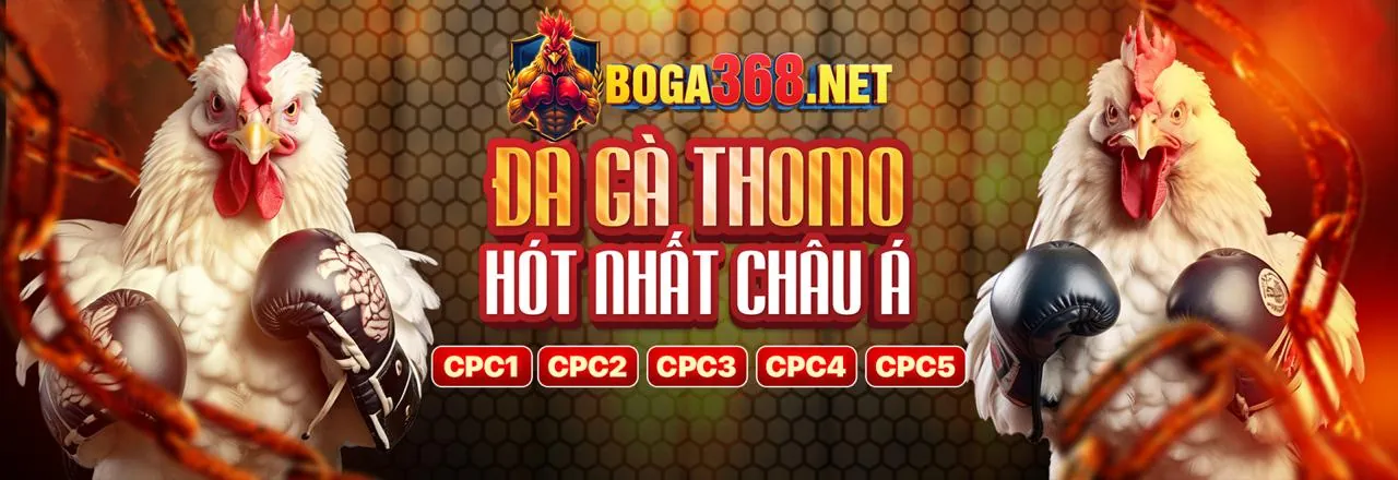 Bảng tỷ lệ kèo cược đa dạng tại af88